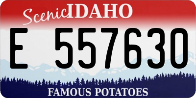 ID license plate E557630
