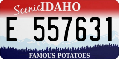 ID license plate E557631