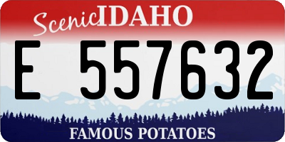 ID license plate E557632