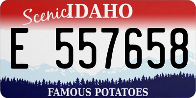 ID license plate E557658