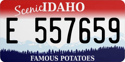 ID license plate E557659