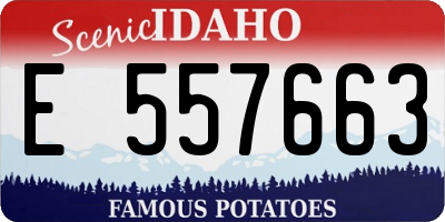 ID license plate E557663