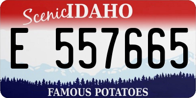 ID license plate E557665