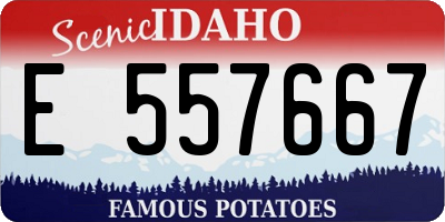 ID license plate E557667