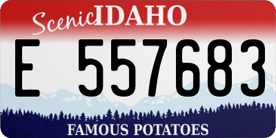 ID license plate E557683