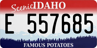 ID license plate E557685