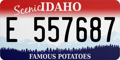 ID license plate E557687