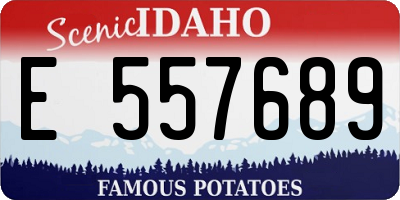 ID license plate E557689