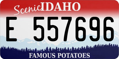 ID license plate E557696
