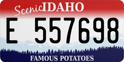 ID license plate E557698