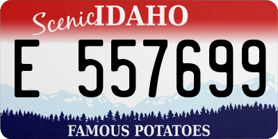 ID license plate E557699