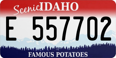 ID license plate E557702