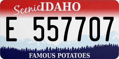 ID license plate E557707