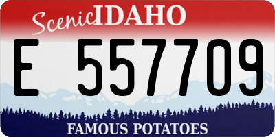 ID license plate E557709