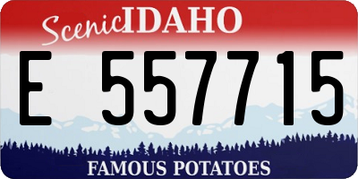 ID license plate E557715