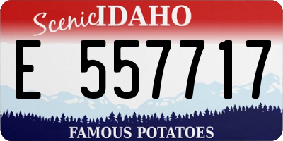 ID license plate E557717