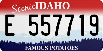 ID license plate E557719