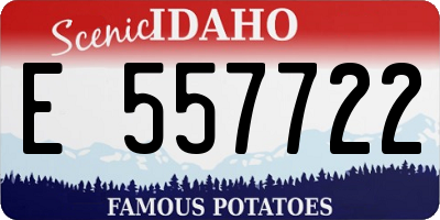 ID license plate E557722