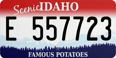 ID license plate E557723