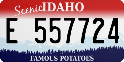 ID license plate E557724