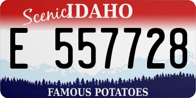 ID license plate E557728