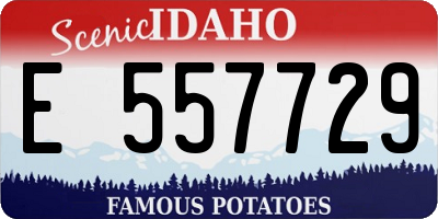 ID license plate E557729