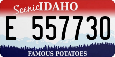 ID license plate E557730