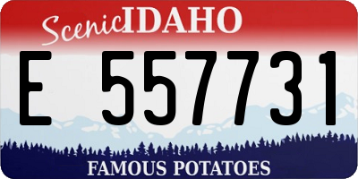 ID license plate E557731