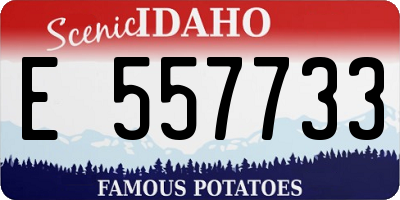 ID license plate E557733