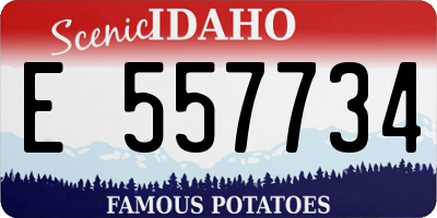 ID license plate E557734