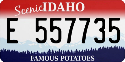 ID license plate E557735