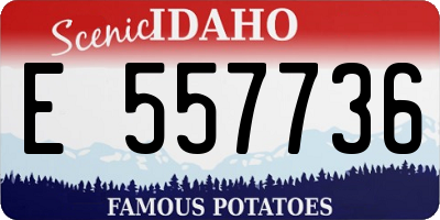 ID license plate E557736