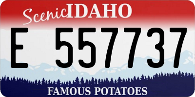 ID license plate E557737