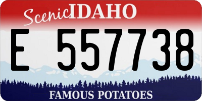 ID license plate E557738