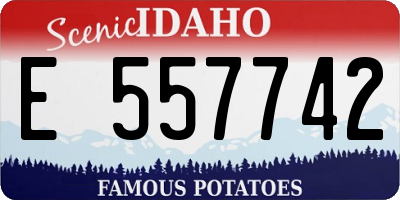 ID license plate E557742