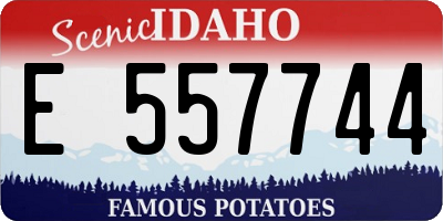 ID license plate E557744