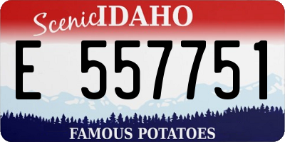 ID license plate E557751