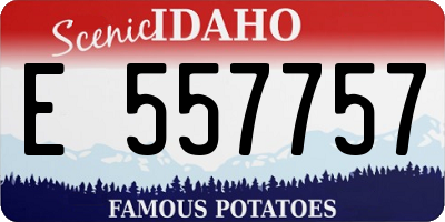 ID license plate E557757