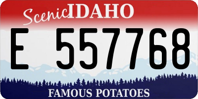 ID license plate E557768
