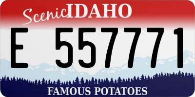 ID license plate E557771