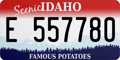 ID license plate E557780