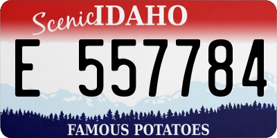 ID license plate E557784
