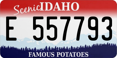 ID license plate E557793