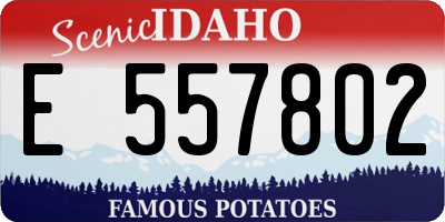 ID license plate E557802