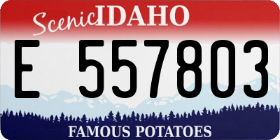 ID license plate E557803