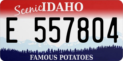 ID license plate E557804