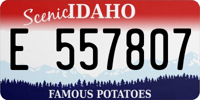 ID license plate E557807