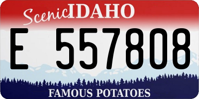 ID license plate E557808