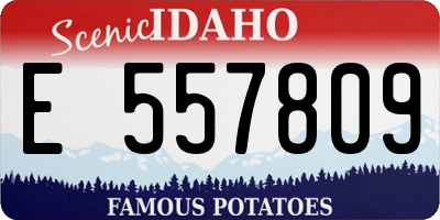 ID license plate E557809