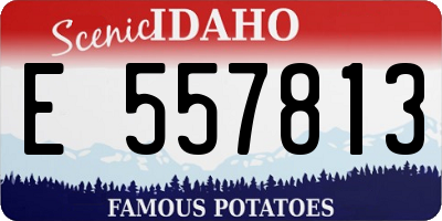 ID license plate E557813